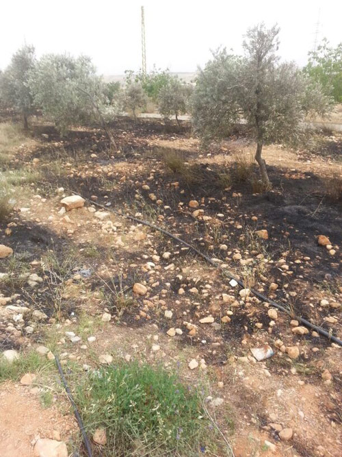 الجيش السوري يسيطر على نصف مدينة القصير