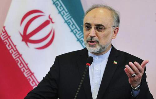 صالحي: نرحب بإقامة خط ملاحي جوي مباشر بين طهران وواشنطن 
