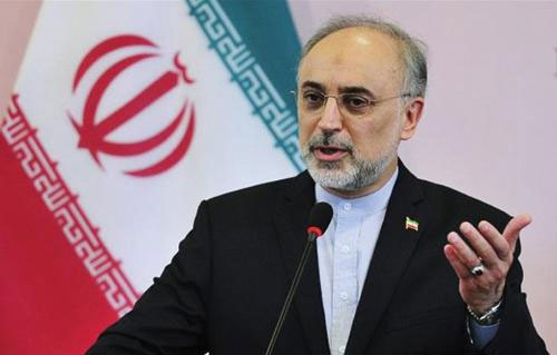 صالحي: نأمل تغييراً قطرياً في السياسة تجاه سورية 
 