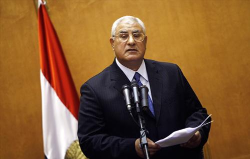 منصور: الشعب المصري هو صاحب الإرادة الشرعية