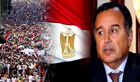وزير الخارجية المصري: لحماية الثورة