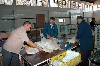 السوريون يمارسون حياتهم الطبيعية ويتحدون التهديدات الغربية