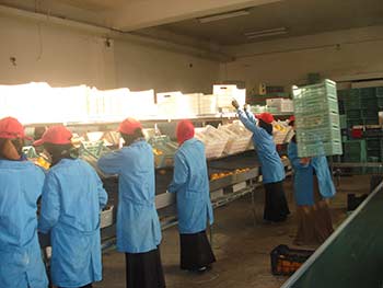 السوريون يمارسون حياتهم الطبيعية ويتحدون التهديدات الغربية