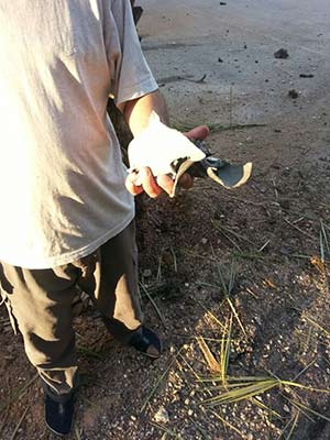 سقوط صواريخ في الهرمل أحدها يصيب مدرسة للآيتام
