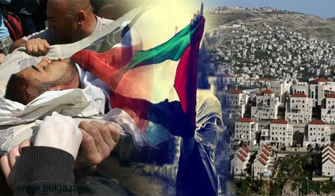 فلسطين: شهداء وجرحى برصاص العدو