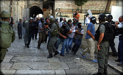 مستوطنون يدنسون المسجد الأقصى مجدداً 