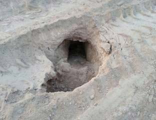  
العبث بحرمة مقبرة في البحرين