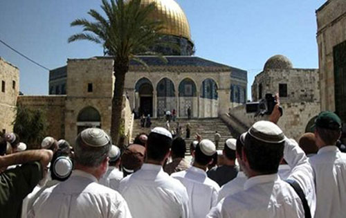 مستوطنون يدنسون المسجد الأقصى مجدداً 