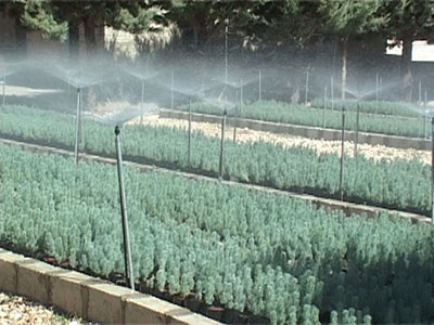 وزير الزراعة تفقد مشروع الري بواسطة الطاقة الشمسية الذي أنجزته الوزارة في دير الأحمر