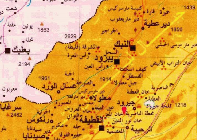 الجيش السوري يقترب من السيطرة على بلدة النبك 
