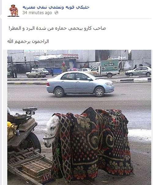 عاصفة &rsquo;فايسبوكية&rsquo; تضرب &rsquo;اليكسا&rsquo;