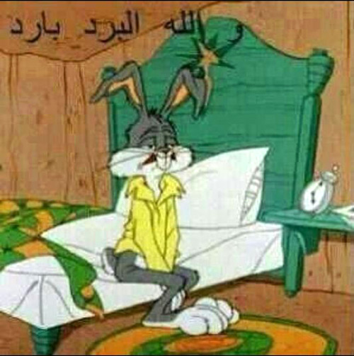 عاصفة &rsquo;فايسبوكية&rsquo; تضرب &rsquo;اليكسا&rsquo;