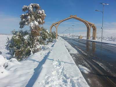 في يومها الثاني.. زخم ألكسا يزداد شدّة 