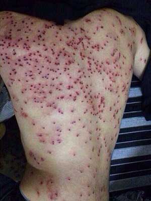 المعارضة البحرينية ترجئ مسيرتها الى الأسبوع المقبل 