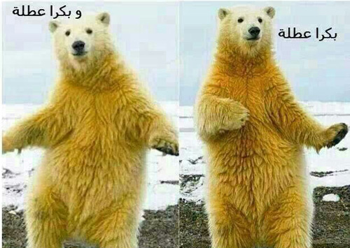 عاصفة &rsquo;فايسبوكية&rsquo; تضرب &rsquo;اليكسا&rsquo;