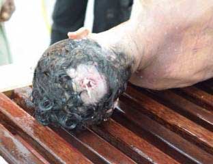 &rsquo;هيومن رايتس&rsquo; تطالب البحرين بتحقيق مستقل ومحايد في إطلاق النار على مواطنِين