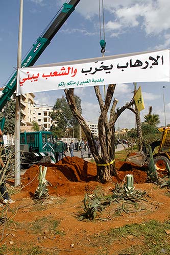 زراعة أشجار أمام دار الأيتام الاسلامية في بئر حسن