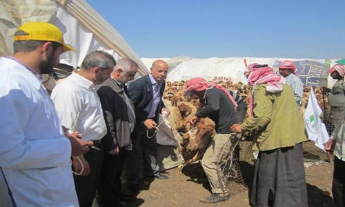 جهاد البناء تقيم دورة أشغال يدوية وتنظم حملة لتحصين الماشية 
