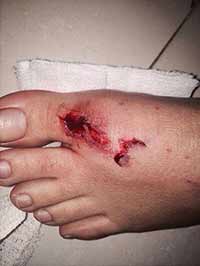 
القوات السعودية تُطلق النار عشوائياً في بلدة العوامية