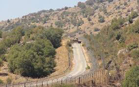  الاعشاب بجانب الحدود الشمالية تخيف جيش العدو الصهيوني  