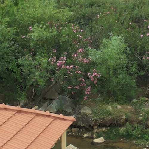 
عشرون جندياً معادياً يتخطون السياج التقني في الوزاني 