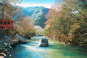  سكان قرية الغجر: نريد ضخ المياه من لبنان