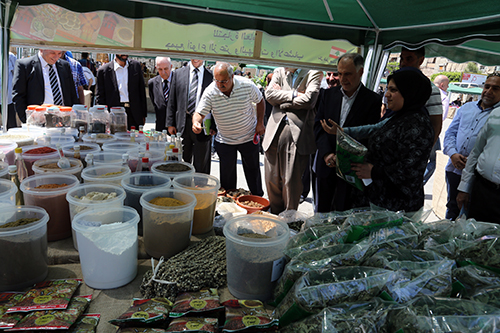 فنيش: كل الرهانات على إمكانية تغيير المعادلة في الداخل فاشلة 