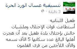 الجيش السوري يبسط الأمان في الطفيل السورية