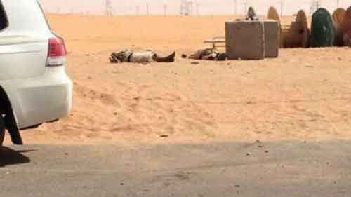 سعوديات يقاتلن في صفوف تنظيم &rsquo;القاعدة&rsquo; في اليمن 