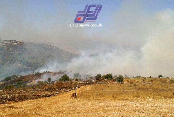 بالصور: حريق على الحدود اللبنانية الفلسطينية