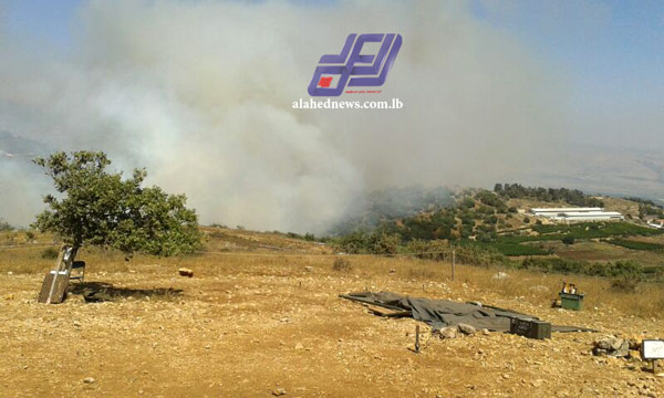 بالصور: حريق على الحدود اللبنانية الفلسطينية