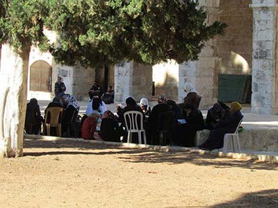 الداخل الفلسطيني المحتل عام 48 ينتفض