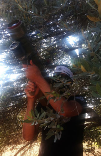 المقاومة الفلسطينية &rsquo;السلاح صاحي&rsquo; بوجه العدو