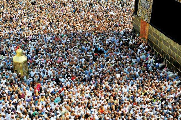 &rsquo;الحياة&rsquo;: نجاح الحج.. خدمات متكاملة و لا أوبئة