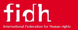 الفدراليّة الدوليّة لحقوق الإنسان تطالب بوقف المضايقات القضائيّة ضدّ الحقوقيّين