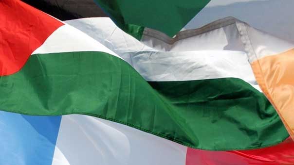 &rsquo;الشيوخ الفرنسي&rsquo; والبرلمان الإيرلندي يعترفان بدولة فلسطين