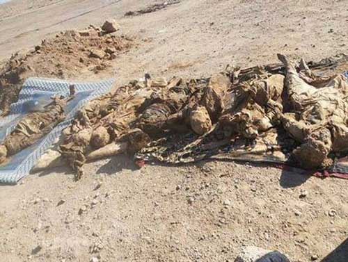 النصرة تقمع متظاهرين في بيت سحم وتقتل احدهم 