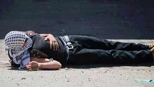 في غياب العدالة الدولية.. الضحية في مواجهة الجلاد في محاكم العدو 