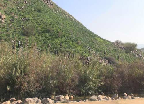 كيف خرقت قوة صهيونية الخط الأزرق في الوزاني؟