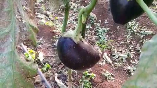 موجة الصقيع والجليد تتسبب بقطع العديد من الطرقات