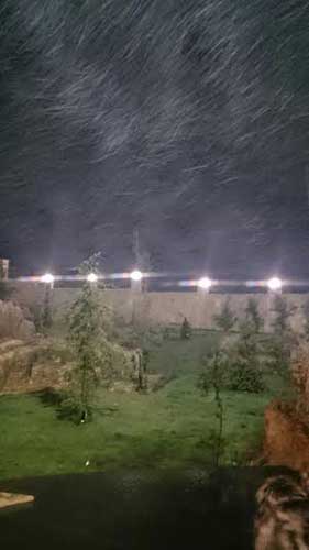&rsquo;زينة&rsquo; العاصفة بالصور..