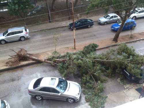 &rsquo;زينة&rsquo; العاصفة بالصور..