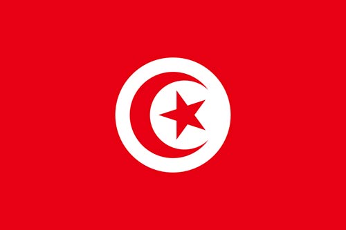 العلم التونسي أسباب تأخر تشكيل الحكومة التونسية الجديدة