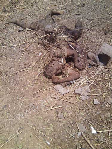 بالفيديو: مجزرة مروعة ترتكبها الطائرات الحربية السعودية في غارات على مخيم المزرق في &rsquo;حجّة&rsquo; اليمنية