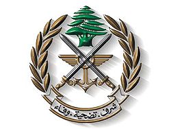 الجيش يقتل عدداً من الإرهابيين ويسيطر على مواقع جديدة في رأس بعلبك
