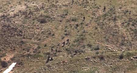 الجيش السوري يسيطر على تلة قلعة السنديان شمال شرق منطقة جمعيات الزبداني