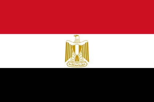 مصر بؤس الســياســـة المصــــرية
