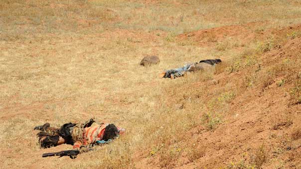 بعد السيطرة على الجرود و&rsquo;الصهريج&rsquo;اتصال جرد عسال الورد من الجهتين اللبنانية والسورية