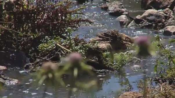 عوادم مستوطنات الإحتلال ونفايات مصانعه السامة إلى الفلسطينيين