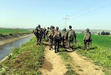 القضاء على أعداد من التكفيريين في مدن سورية متفرقة